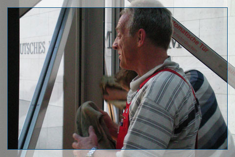 Fenster putzen ist harte Arbeit, doch ein wenig Spaß darf bei der Glasreinigung schon sein. IDEAL Glasreinigung Berlin: Mit Know-how und guter Laune im Dienst der Sauberkeit.